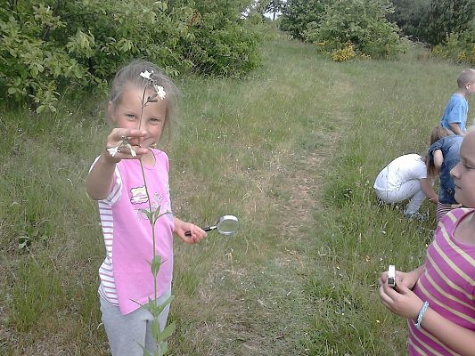 Grafika #8: Co kryje łąka? - zajęcia w klasie 1a