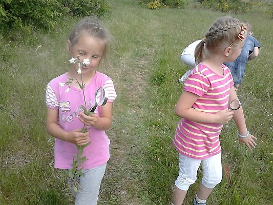 Grafika #9: Co kryje łąka? - zajęcia w klasie 1a