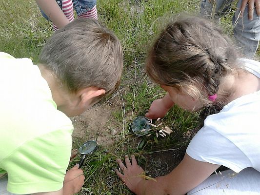 Grafika #12: Co kryje łąka? - zajęcia w klasie 1a