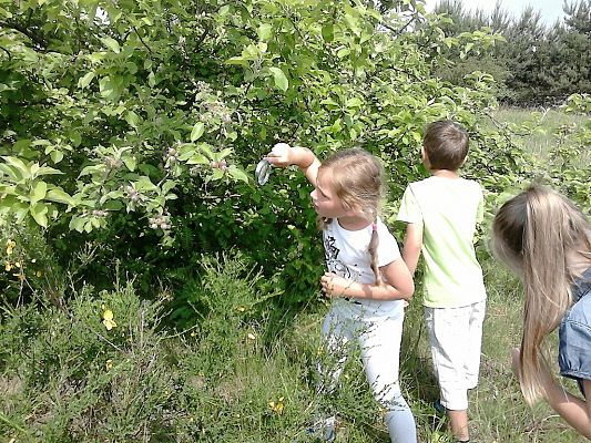 Grafika #14: Co kryje łąka? - zajęcia w klasie 1a