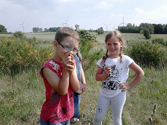 Grafika #17: Co kryje łąka? - zajęcia w klasie 1a