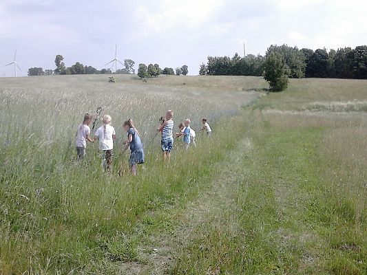 Grafika #22: Co kryje łąka? - zajęcia w klasie 1a