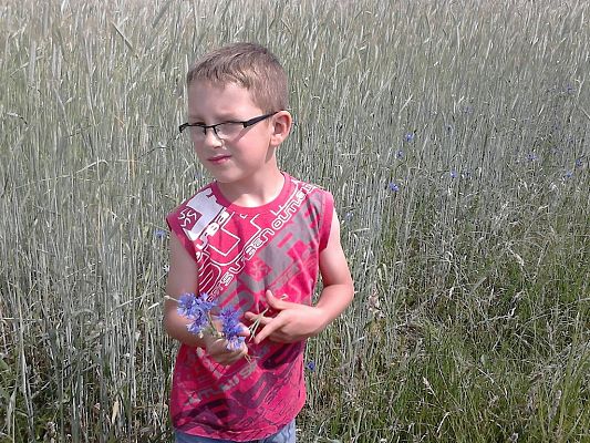 Grafika #23: Co kryje łąka? - zajęcia w klasie 1a