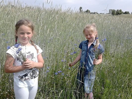 Grafika #24: Co kryje łąka? - zajęcia w klasie 1a