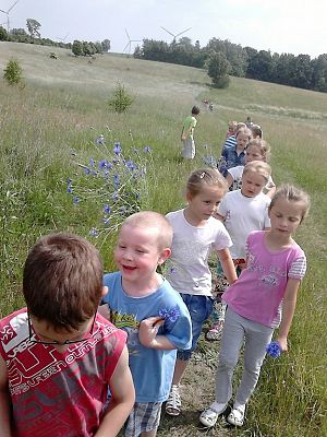 Grafika #26: Co kryje łąka? - zajęcia w klasie 1a