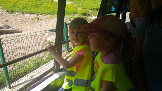 Grafika #3: Wycieczka przedszkolaków do ZOO