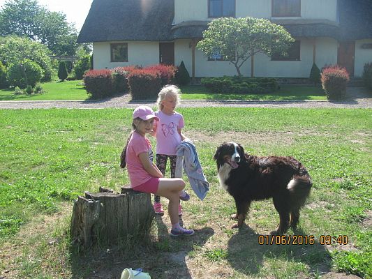 Grafika #28: Wycieczka do Gąski