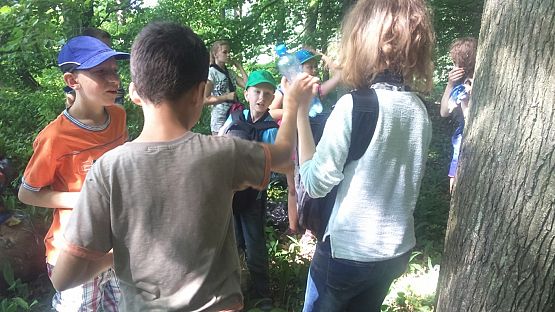 Grafika #3: Harcerska Akcja Ekologiczna