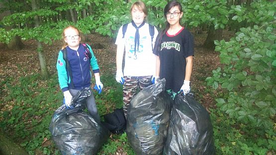 Grafika #7: Harcerska Akcja Ekologiczna