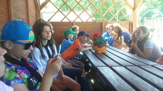 Grafika #10: Harcerska Akcja Ekologiczna