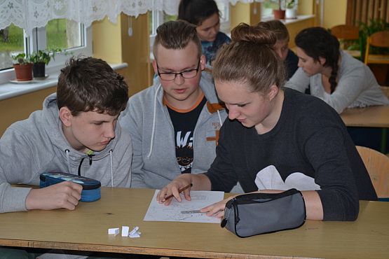 Grafika #5: Szkolny Turniej Przyrodniczy