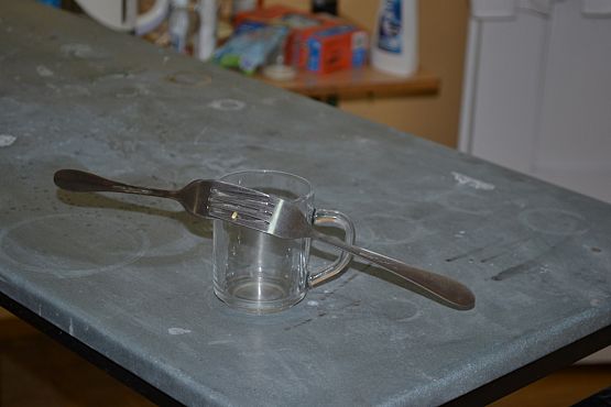 Grafika #10: Szkolny Turniej Przyrodniczy