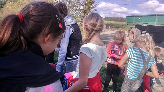 Grafika #3: Przygotowania do XXXIV Ogólnopolskiego Otwartego Biegu Przełajowego o,, Puchar Leśny\\ im. Tomasza Hopfera