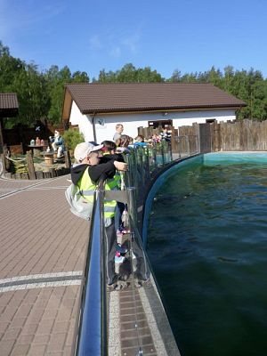 Grafika #0: Wycieczka do Sea Parku