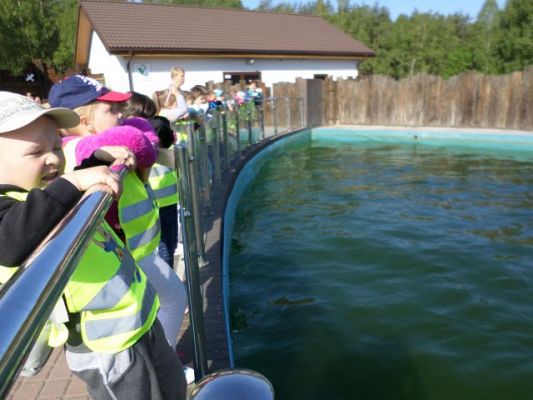 Grafika #1: Wycieczka do Sea Parku