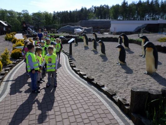 Grafika #12: Wycieczka do Sea Parku