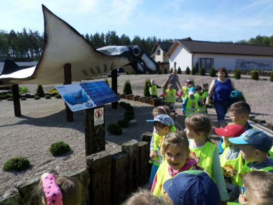 Grafika #13: Wycieczka do Sea Parku