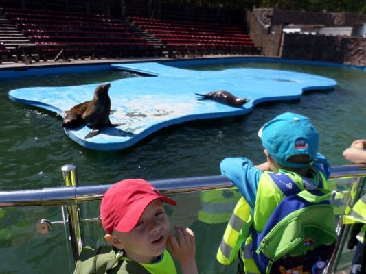 Grafika #2: Wycieczka do Sea Parku