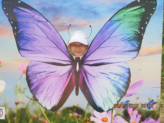 Grafika #4: Strysza Buda