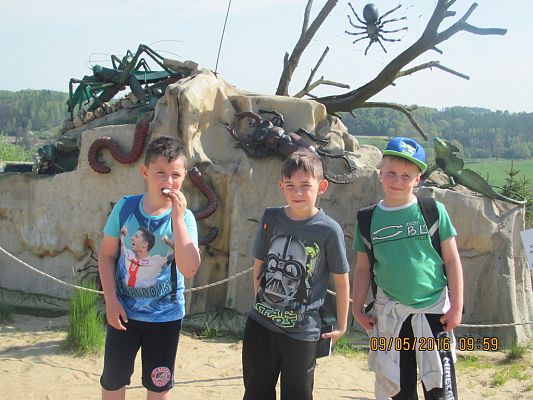 Grafika #7: Strysza Buda