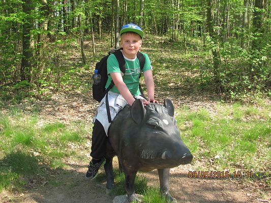 Grafika #12: Strysza Buda