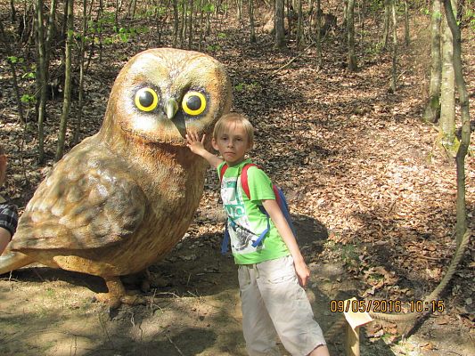 Grafika #13: Strysza Buda