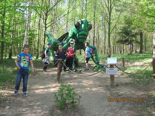 Grafika #14: Strysza Buda