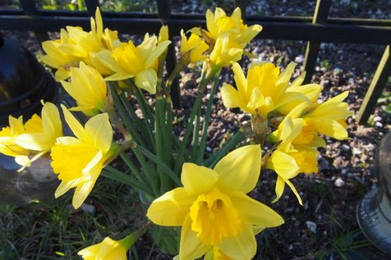 Grafika #1: Kwiecień- miesiącem pamięci