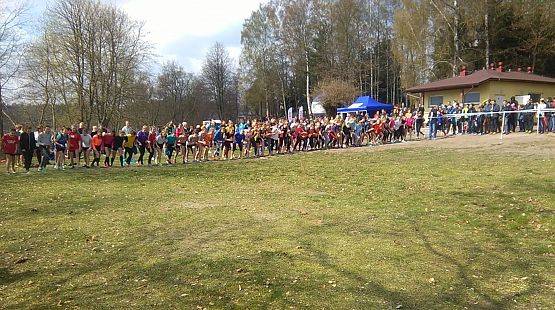 Grafika #3: Finał wojewódzki w indywidualnych biegach przełajowych.