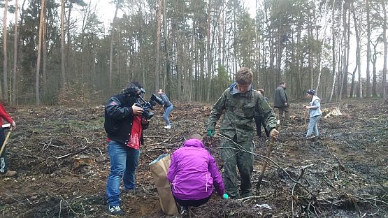 Grafika #3: Sadzenie lasu