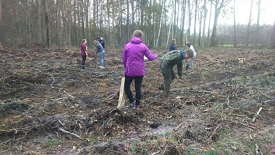 Grafika #4: Sadzenie lasu