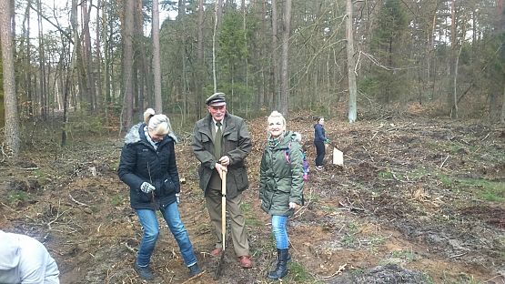 Grafika #6: Sadzenie lasu