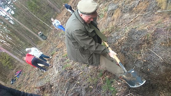 Grafika #9: Sadzenie lasu