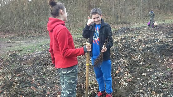 Grafika #10: Sadzenie lasu