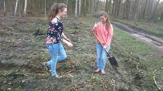 Grafika #11: Sadzenie lasu