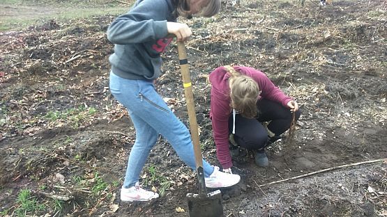 Grafika #12: Sadzenie lasu