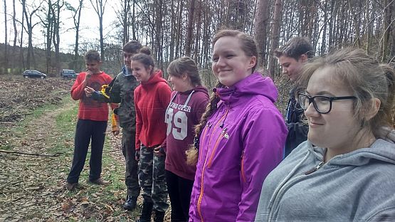 Grafika #13: Sadzenie lasu