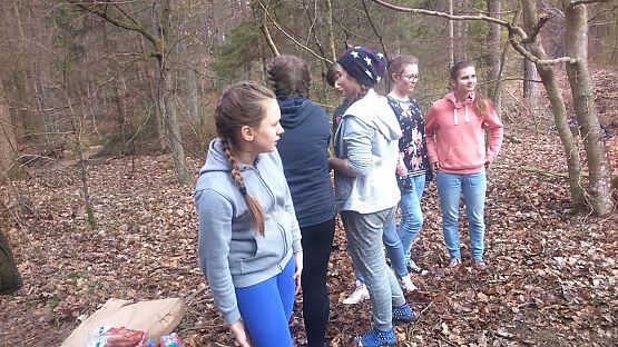 Grafika #15: Sadzenie lasu