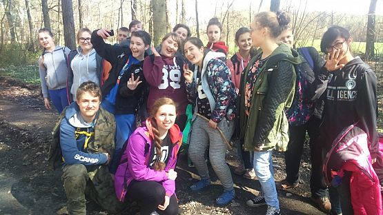 Grafika #19: Sadzenie lasu