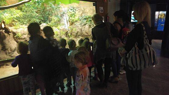 Grafika #0: Wycieczka przedszkolaków do Akwarium w Gdyni