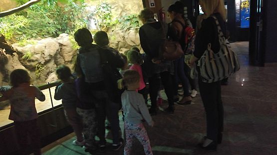 Grafika #1: Wycieczka przedszkolaków do Akwarium w Gdyni