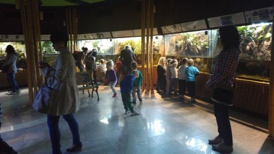 Grafika #8: Wycieczka przedszkolaków do Akwarium w Gdyni