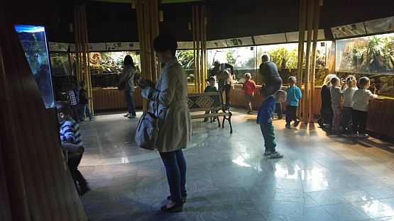 Grafika #2: Wycieczka przedszkolaków do Akwarium w Gdyni