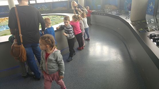 Grafika #4: Wycieczka przedszkolaków do Akwarium w Gdyni