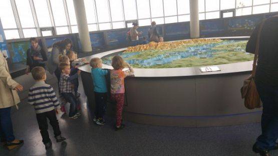 Grafika #5: Wycieczka przedszkolaków do Akwarium w Gdyni