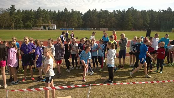 Grafika #0: Powiatowe Zawody w Indywidualnych Biegach Przełajowych