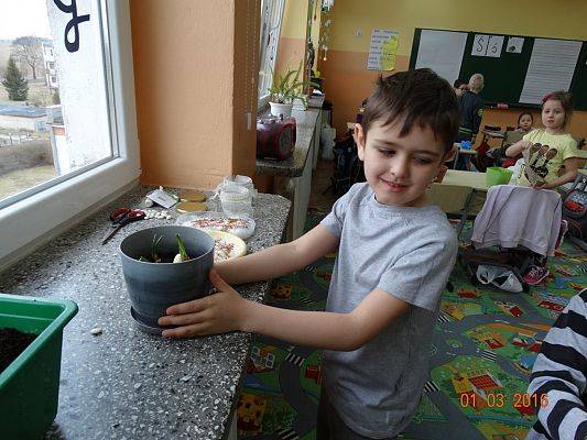 Grafika #11: Uczniowie z 1a zakładają ogródek w klasie.