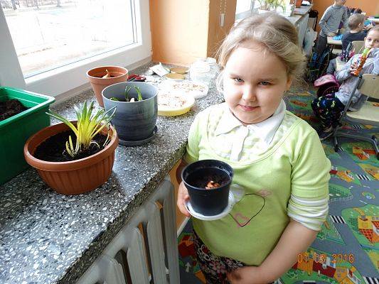 Grafika #8: Uczniowie z 1a zakładają ogródek w klasie.