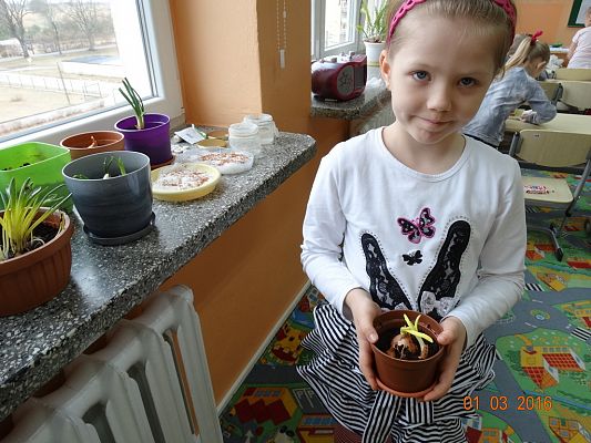 Grafika #3: Uczniowie z 1a zakładają ogródek w klasie.