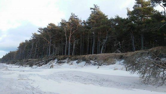 Grafika #5: Harcerska wycieczka piesza